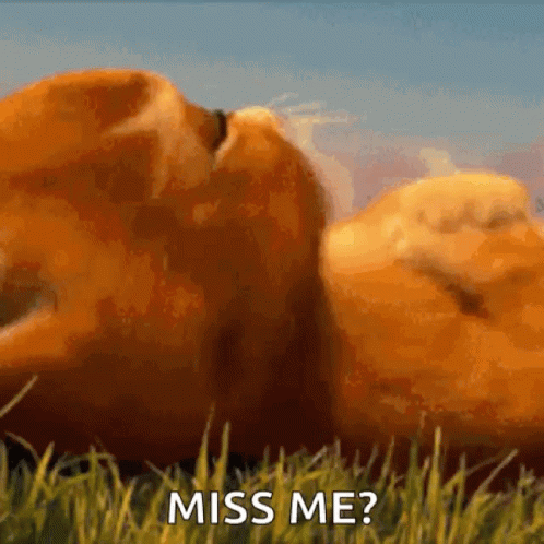 How Could I Not Miss You GIF