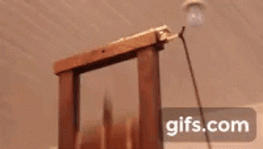 How Guillotine Works GIF