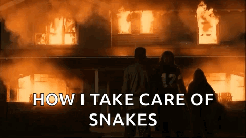 How I Take Care Of Snakes Burn It GIF