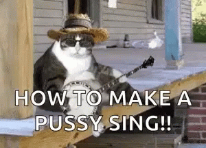 How To Make Purr Sing GIF