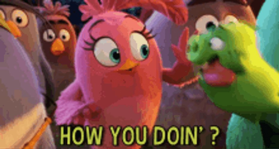 How You Doin Angry Birds GIF
