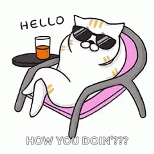How You Doin Cat Chilling GIF