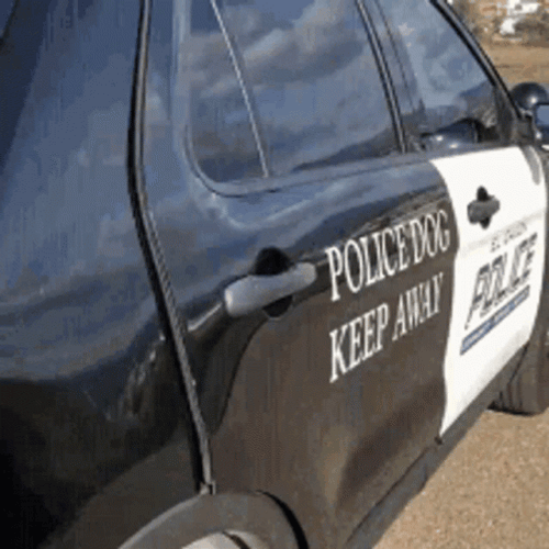Howdy Police Dog With Hat GIF