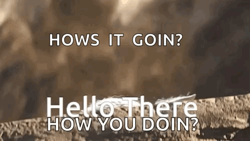 Hows It Goin Hello How You Doin Brown GIF