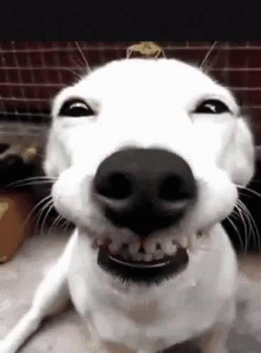 Hows It Goin Hello There How You Doin GIF