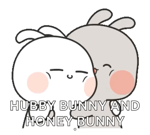 Hubby Bunny And Honey Bunny GIF