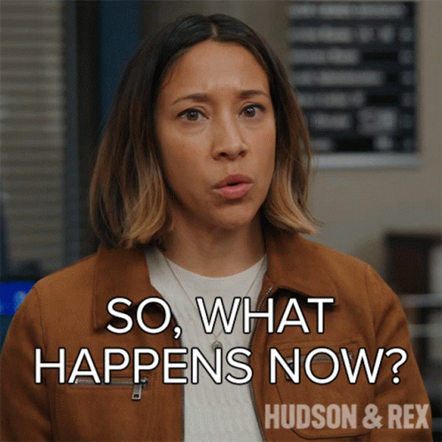 Hudson And Rex Soooo Happens Now GIF