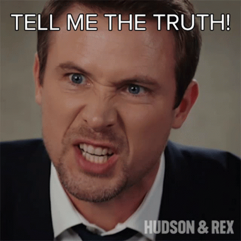 Hudson And Rex Tell Me The Truth GIF