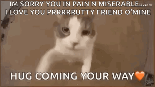 Hug Love GIF