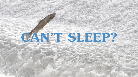 Huge Fish Floating Cant Sleep GIF