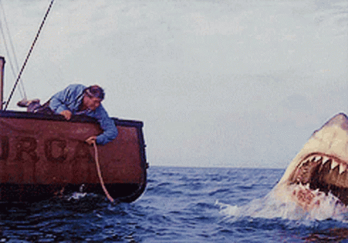 Huge Shark We Gonna Need A Bigger Boat GIF
