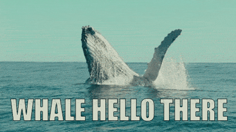 Huge Whale Cute Wave GIF