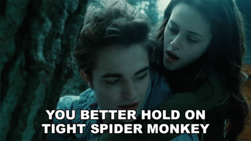Hugging Couple You Better Hold Tight Spider Monkey