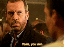 Hugh Laurie Yeah You Are GIF