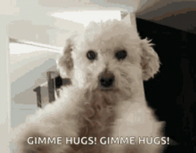 Hugs Give Me Cute Dog Waving Arms GIF