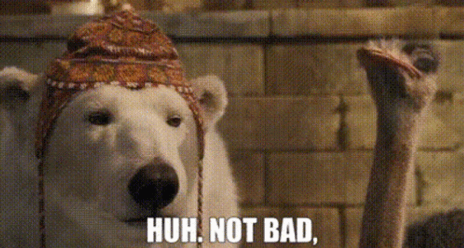 Huh Not Bad Dog And Ostrich GIF