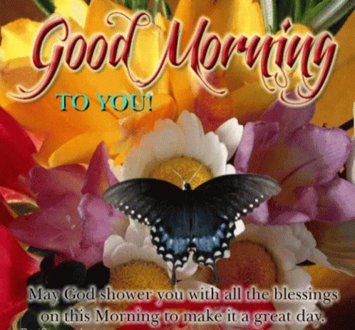 New Good Morning To You GIF