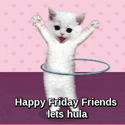 Hula Cat Animated Friday GIF