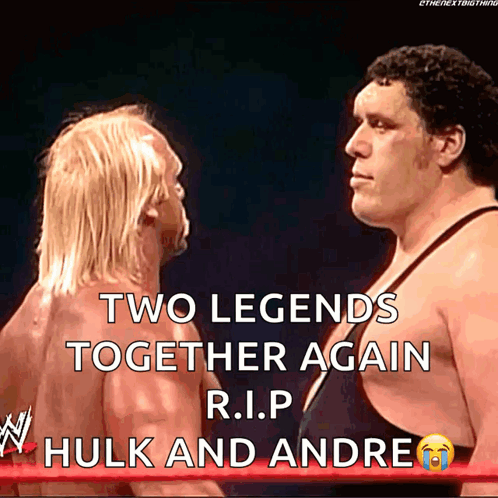 Hulk And Andrew Are Two Legends Together Again R.i.p Hulk And Andrew GIF