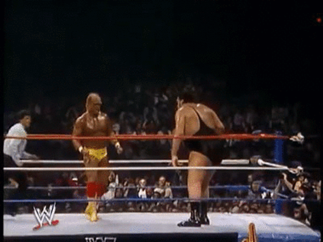 Hulk Hogan And André The Giant GIF