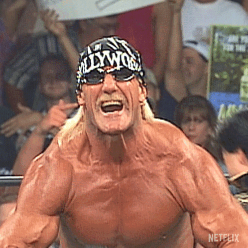 Hulk Hogan Bandana Saying Hollywood GIF
