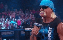 Hulk Hogan Brother Nodding Wearing Shades GIF