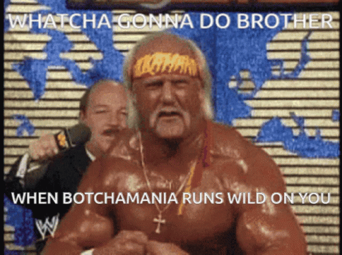 Hulk Hogan Brother When Botchamania Runs Wild GIF