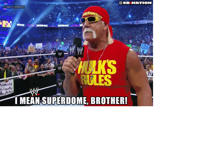 Hulk Hogan I Mean Superdome Brother GIF