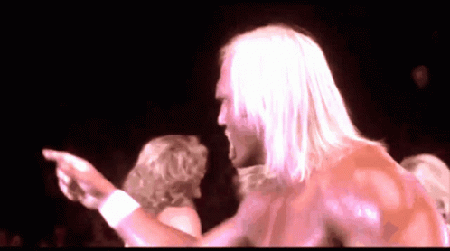 Hulk Hogan I Must Break You GIF