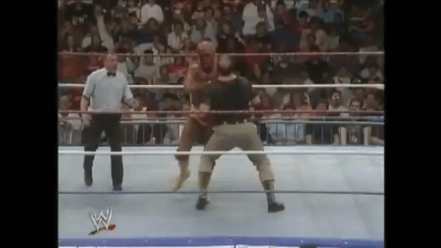 Hulk Hogan Jumps On The Man GIF