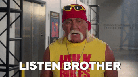 Hulk Hogan Listen Brother GIF