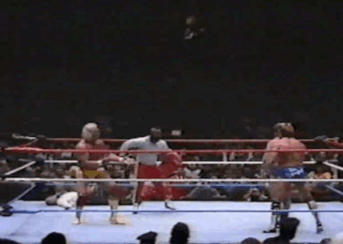 Hulk Hogan Rumble Fight GIF