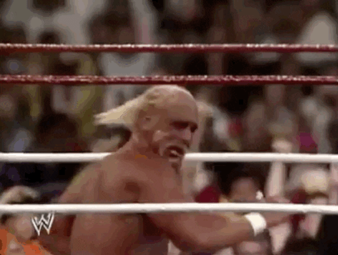 Hulk Hogan Shaking His Head GIF