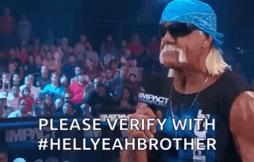 Hulk Hogan Verify With Brother Meme GIF