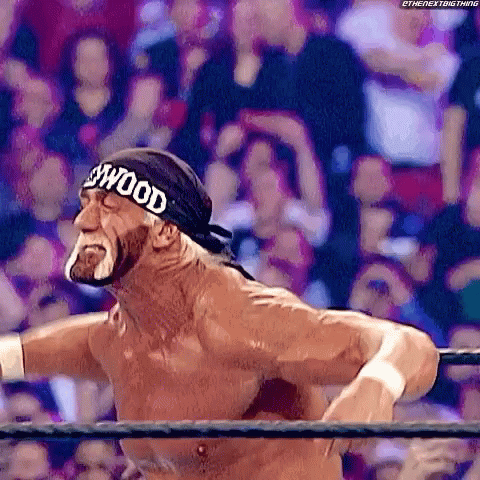 Hulk Hogan Wrestling With Hollywood Headband GIF