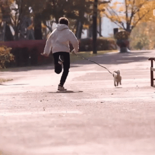 Human After His Dog Running GIF