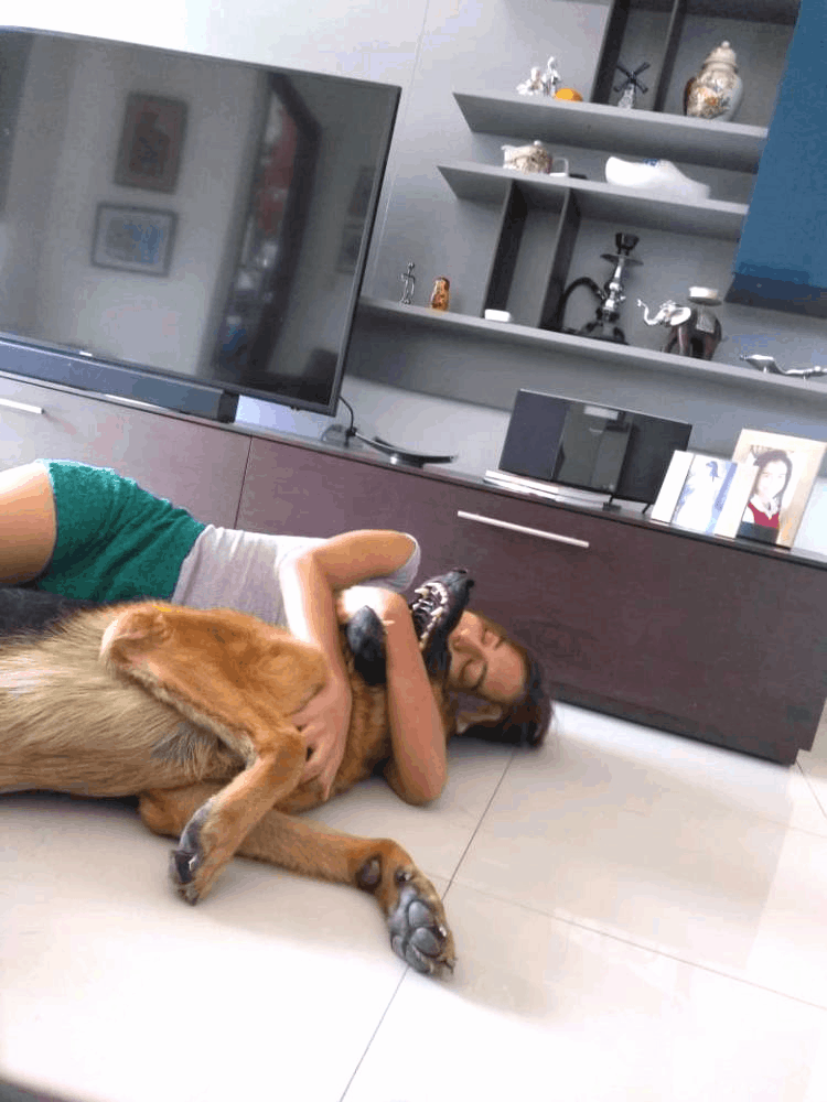 Human And Dog Amor GIF