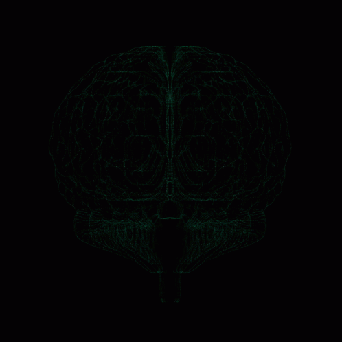 Human Brain With Green Lines On Black Background
