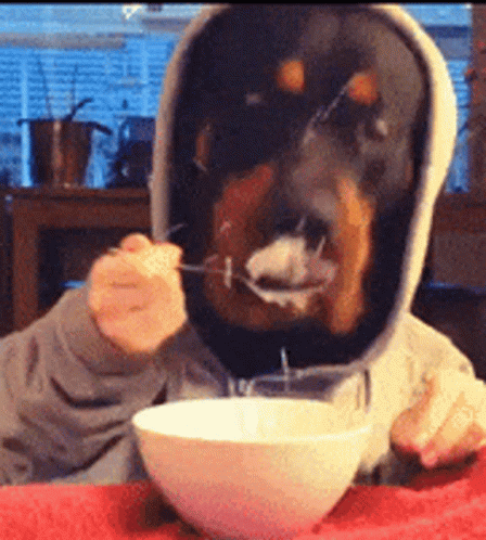 Human Dog Funny Eating GIF