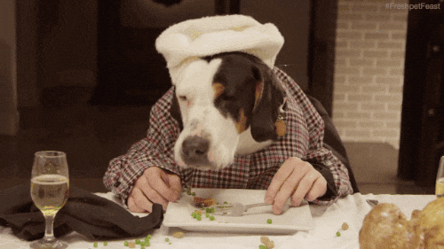 Human Dog With Butter GIF