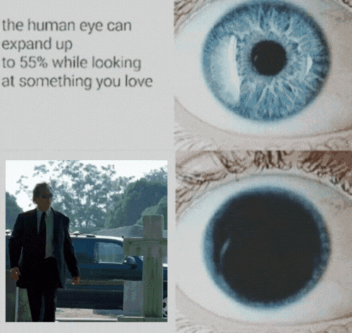 Human Eye Expands When Seeing Loved One GIF