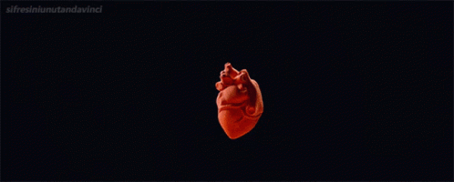 Human Heart Pulsating With Intense Bomb Explosion GIF