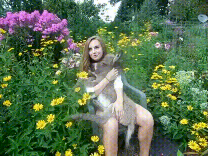 Human Loves Donkey GIF
