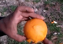 Human Shaped Orange Peel GIF