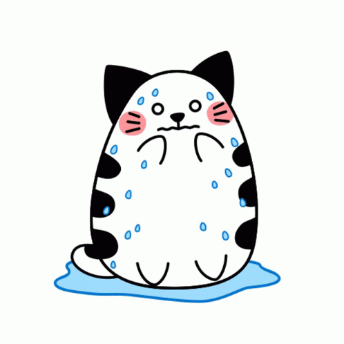 Humid Cat Sweating Too Much GIF