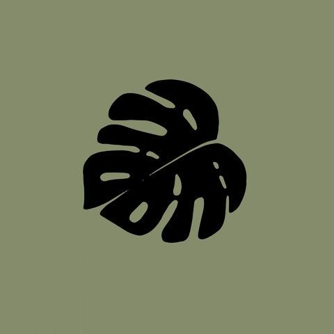 Humid Leaf Moist GIF