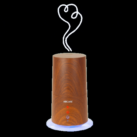 Humid Moist From Humidifier GIF