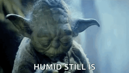 Humid Yoda Looking Up GIF