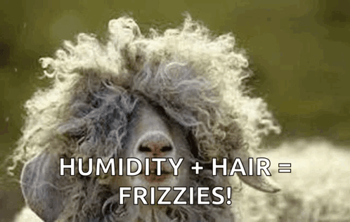 Humidity Plus Hair Equals Frizzies GIF