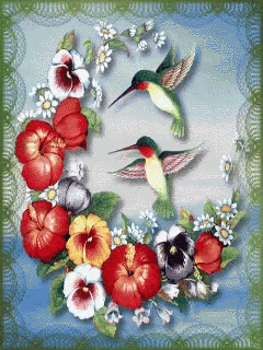 Hummingbird Art Painting GIF